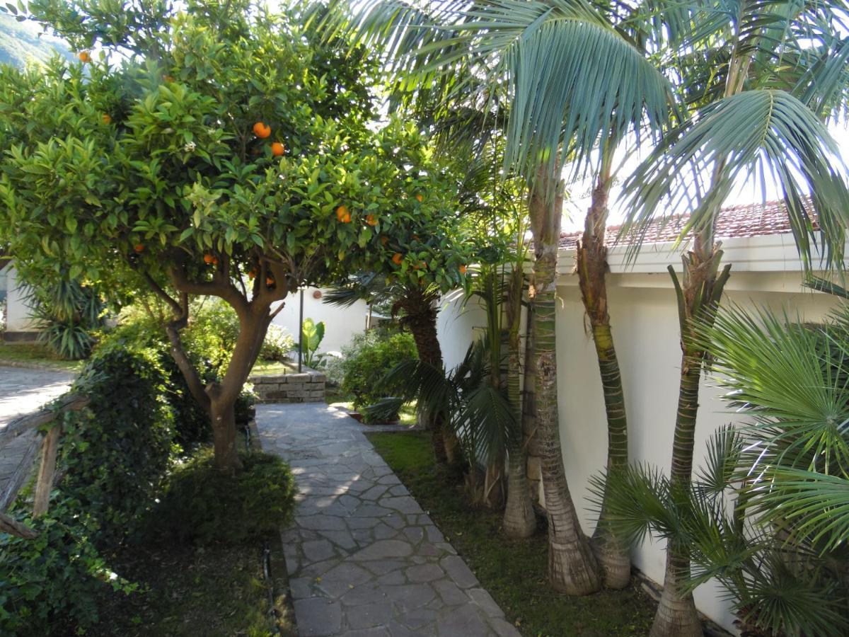 Suite con Vista Giardino